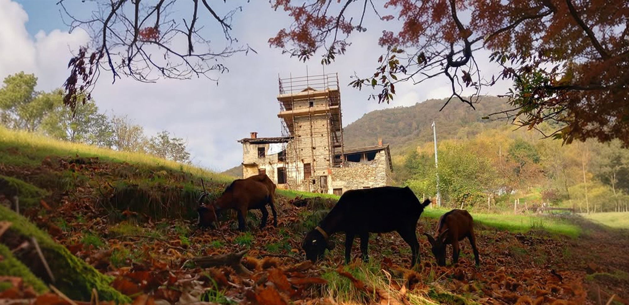 La Casaforte di Torre Pietra durante il recupero, nel paesaggio dell’Alto Canavese
